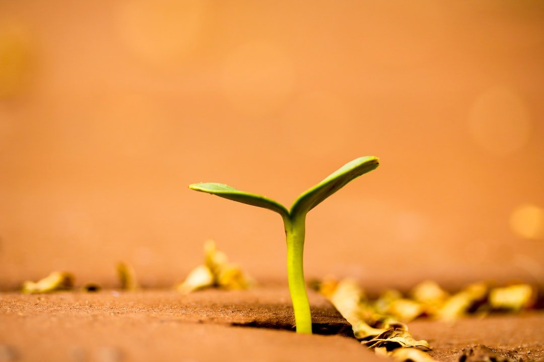 Cómo funciona el proceso de experimentación Growth + CRO — Agencias de growth y